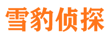 鹤山市婚外情调查